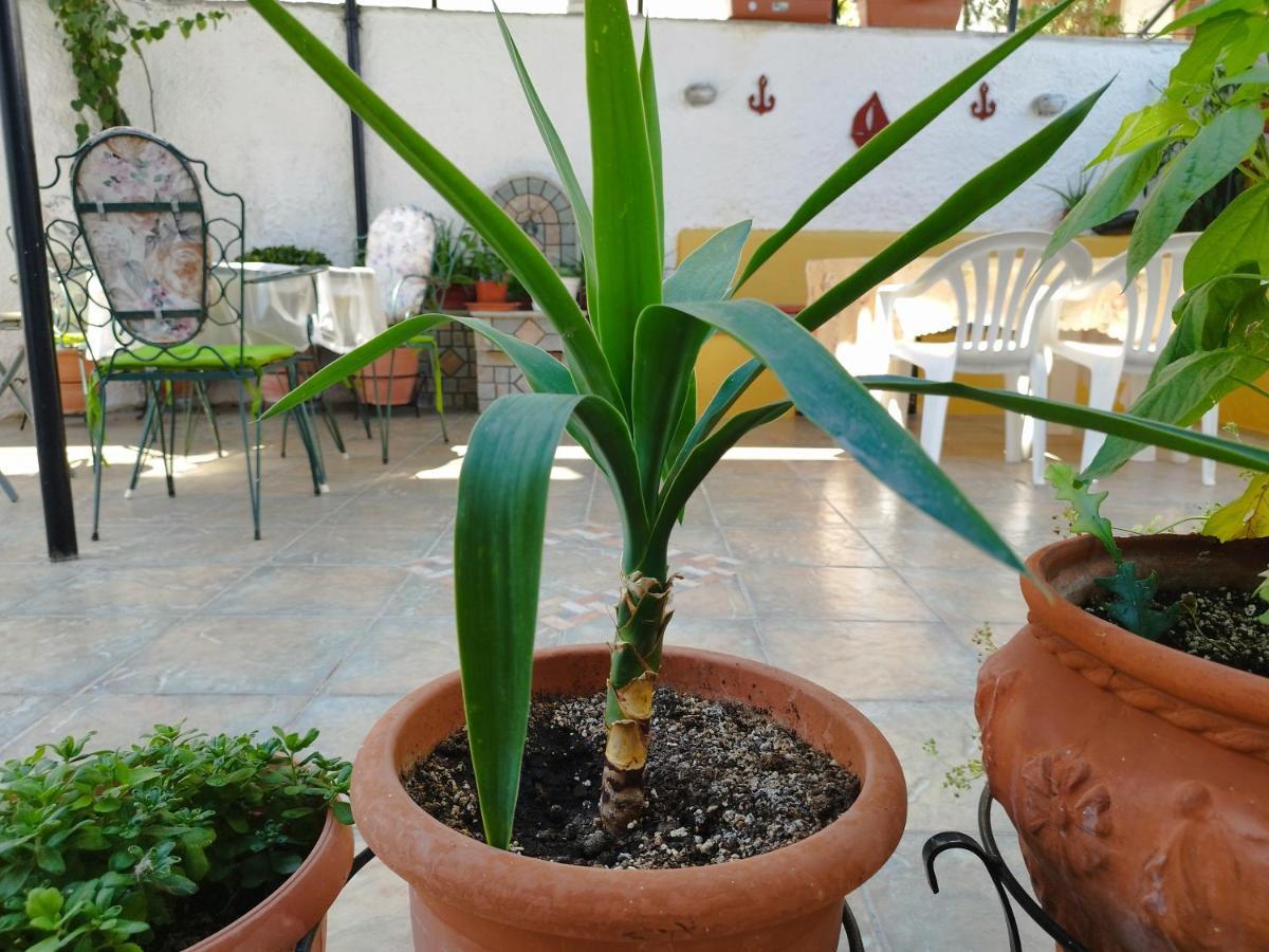 Voulas Guest House Volos Exterior foto